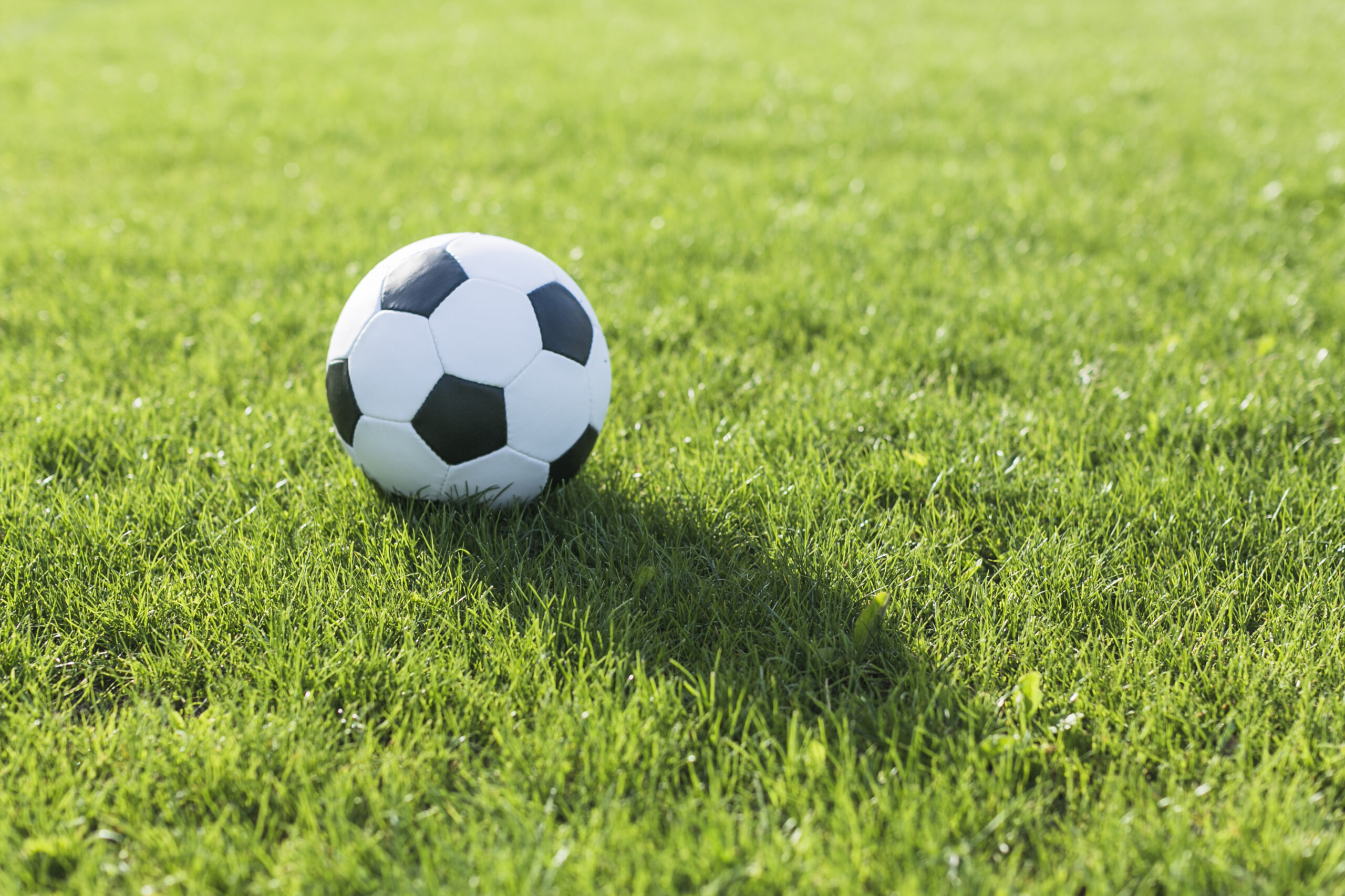 fussball-im-gras-mit-schatten